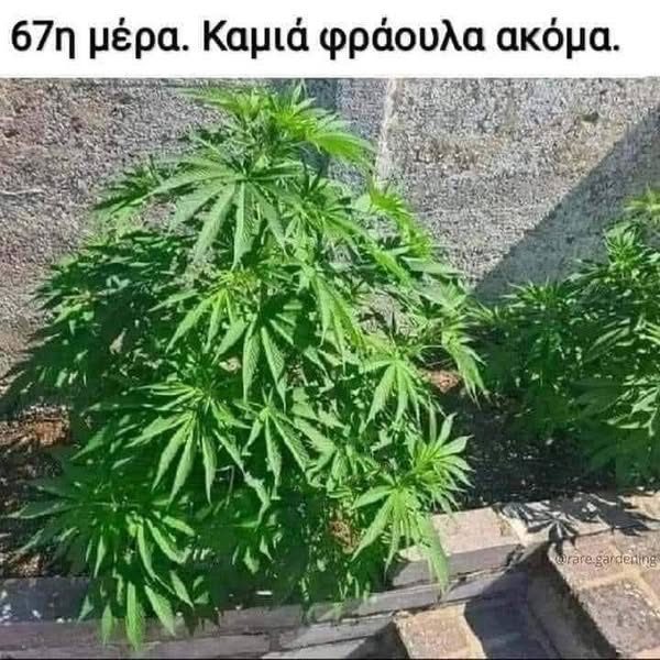 МаΝа ΚаΝе Кокоретси 🇧🇾 (@glue_hisamoli) on Twitter photo 