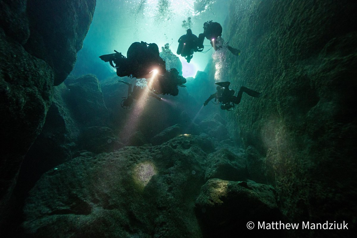 Dan's Dive Shop tweet media