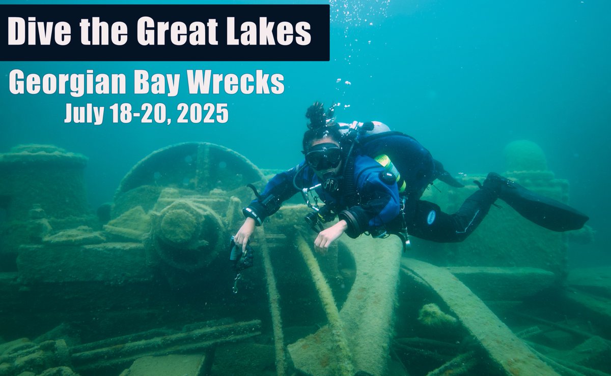 Dan's Dive Shop tweet media