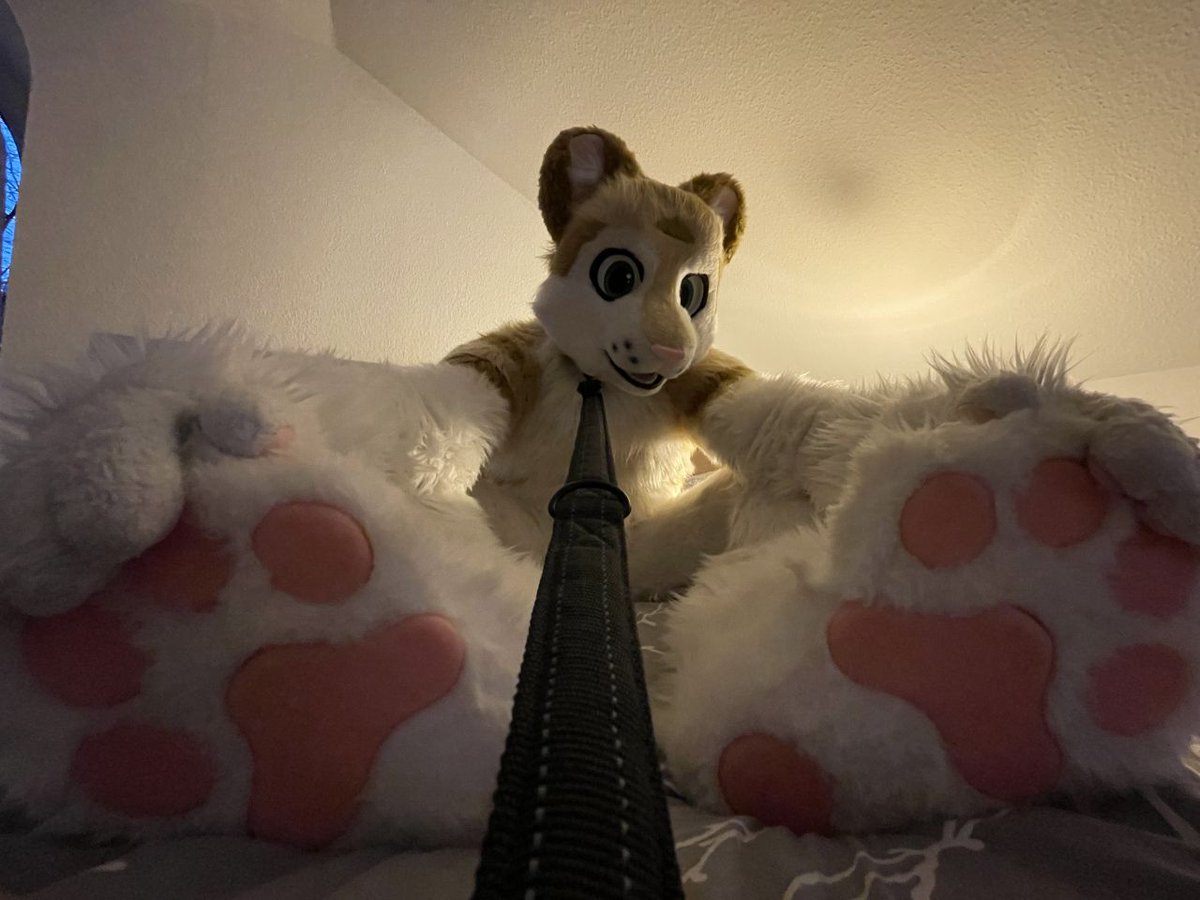 Something for #PawDay 

📸 <a href="/Arcothewolf/">Arco</a>