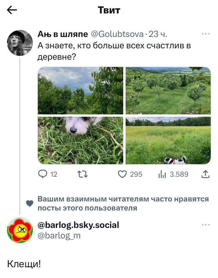 У нас есть победитель)