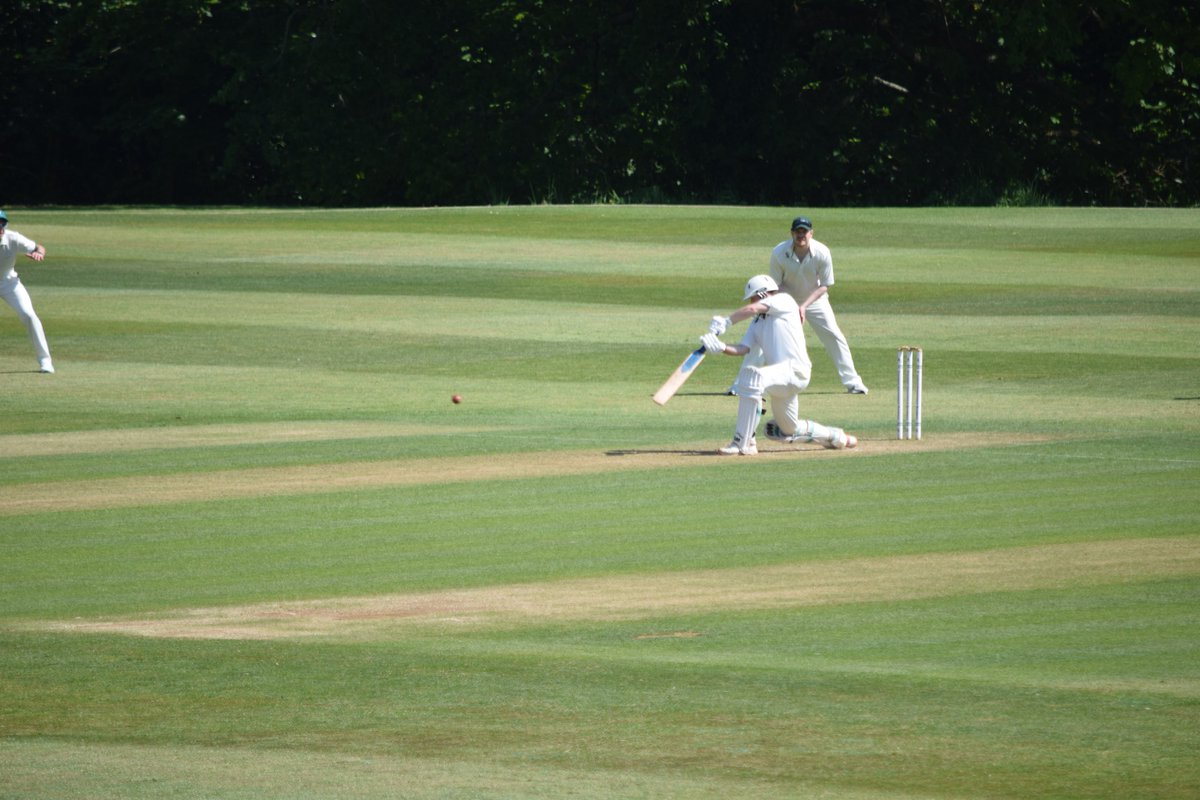 The Bushmen tweet media