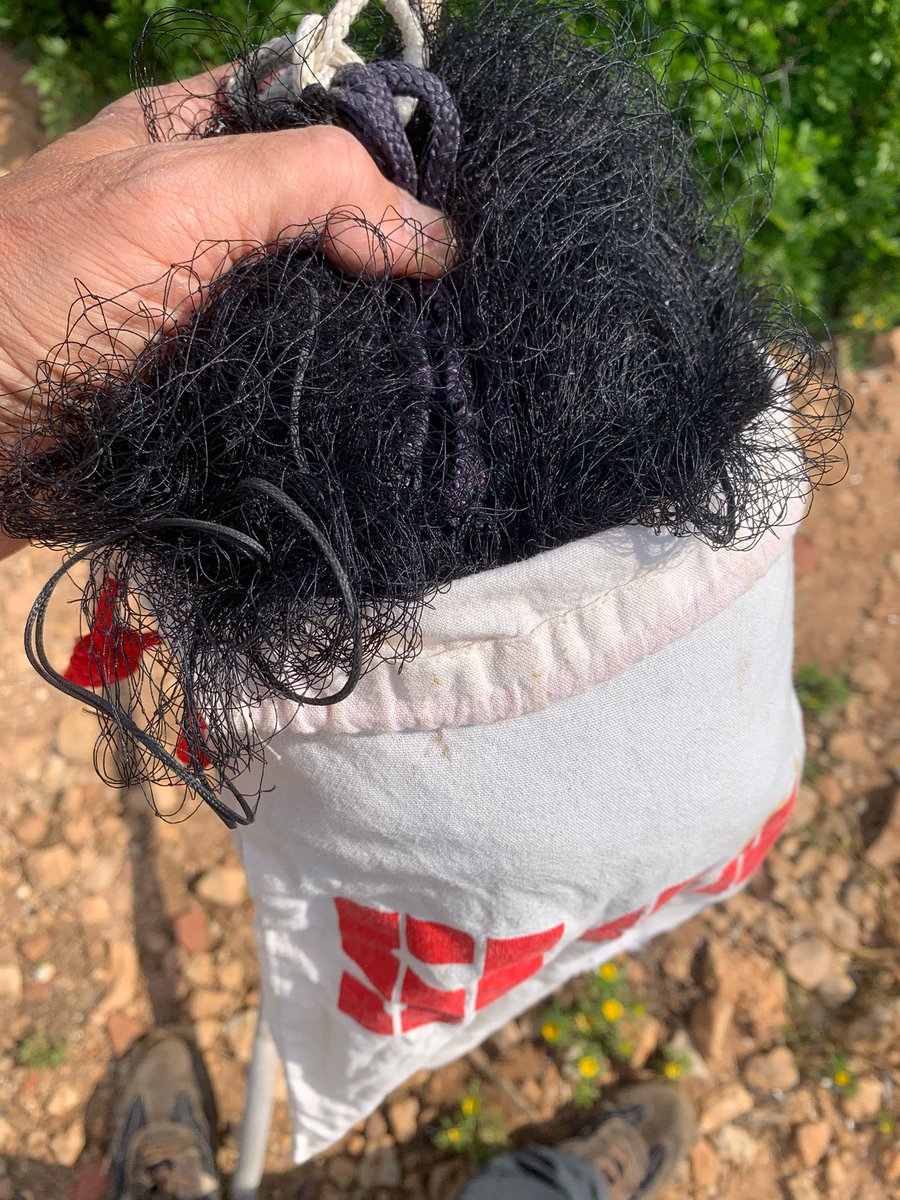 🪶 Tanquem la campanya 2025 a l’Illa de l’Aire amb un 27,4% menys de captures que la mitjana (1995-2025).

Gràcies a Menorca Preservation, <a href="/ImeObsam/">IME OBSAM</a>, i Merak Diving l'Ajuntament de Sant Lluís!

illadelaire.wordpress.com/2025/05/19/res…