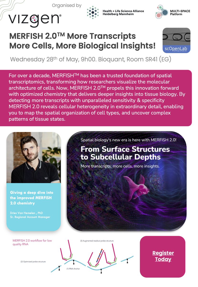 sccHeidelberg's tweet photo. Explore MERFISH 2.0™ spatial transcriptomics &amp; apply for a free pilot project! 
📣 Tech Talk by Dries Van Hemelen 
🗓️ May 28, 9:00 AM 
📍COS, INF 230, Heidelberg 
Hosted by Philipp Mallm  
Supported by MULTI-SPACE - @DKFZ 
#MERFISH #SpatialOmics #Heidelberg #Vizgen https://t.co/qm722HgCOw