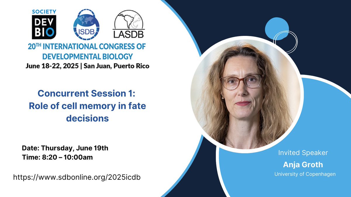 Society for Developmental Biology (@socdevbio) on Twitter photo 🔈 Anja Groth <a href="/groth_anja/">Anja Groth 🇺🇦</a>, invited speaker at #ICDB2025, leads the field in understanding how chromatin replication and epigenetic memory are maintained during cell division. 🧬⏳🧪 🔈 Anja Groth <a href="/groth_anja/">Anja Groth 🇺🇦</a>, invited speaker at #ICDB2025, leads the field in understanding how chromatin replication and epigenetic memory are maintained during cell division. 🧬⏳🧪