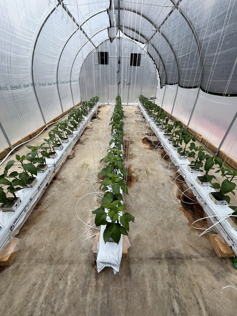 Brookview Farms tweet media