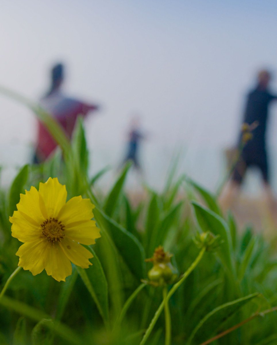 Your summer wellness experience awaits at Dimensions.
🌼 Book your reset now