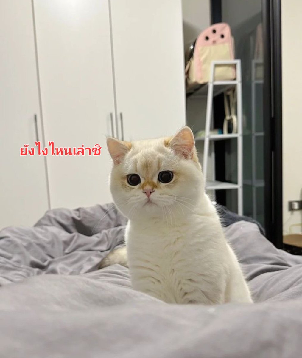 คืนนี้พร้อมใส่ใจค่ะ #พลอยเฌอมาลย์ #โต้งทูพี