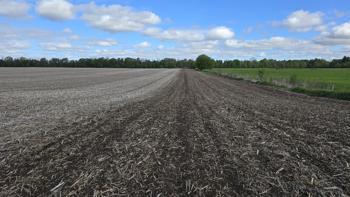 Warren Schneckenburger 🇨🇦 tweet media