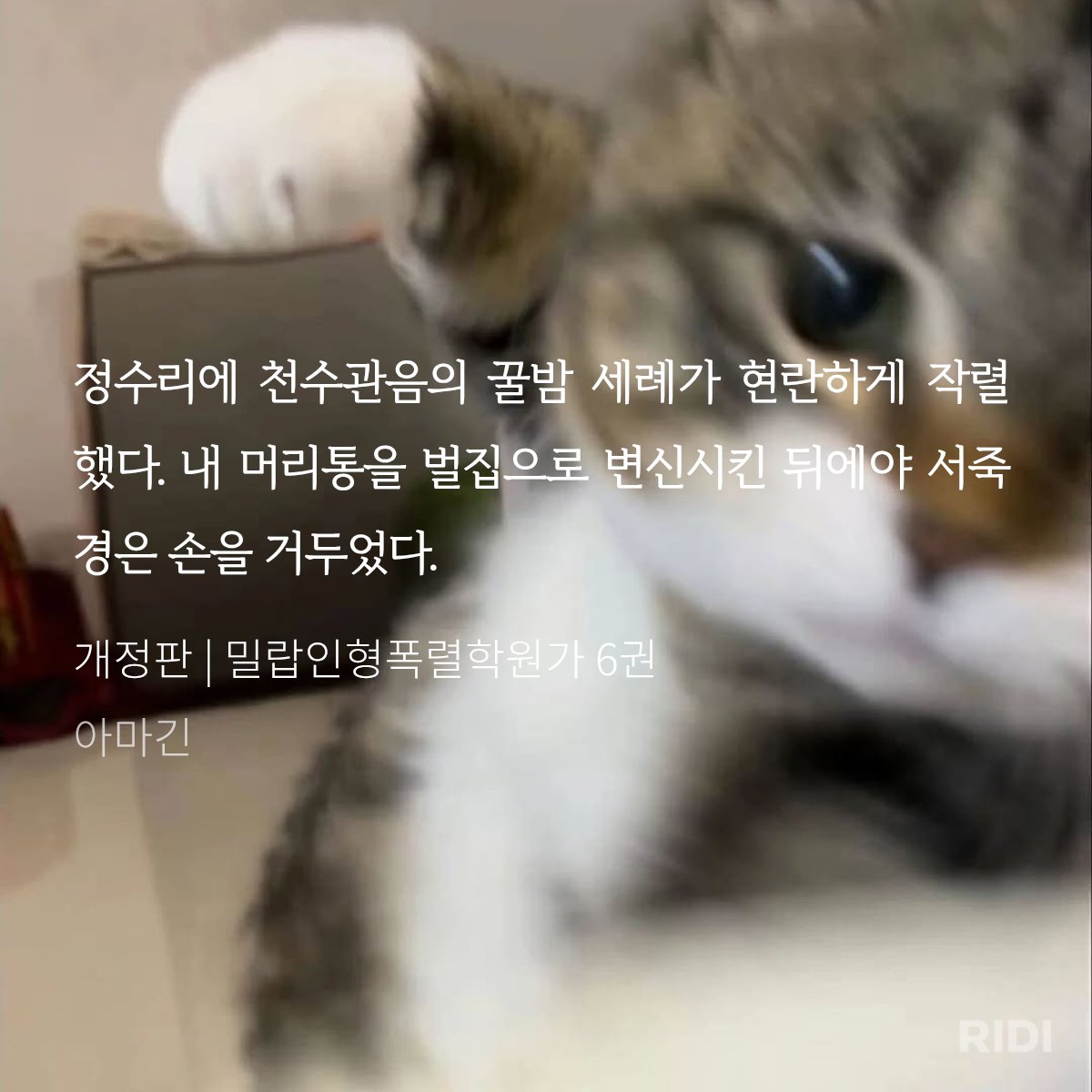 와플🧇 (@waffle_nano) on Twitter photo 