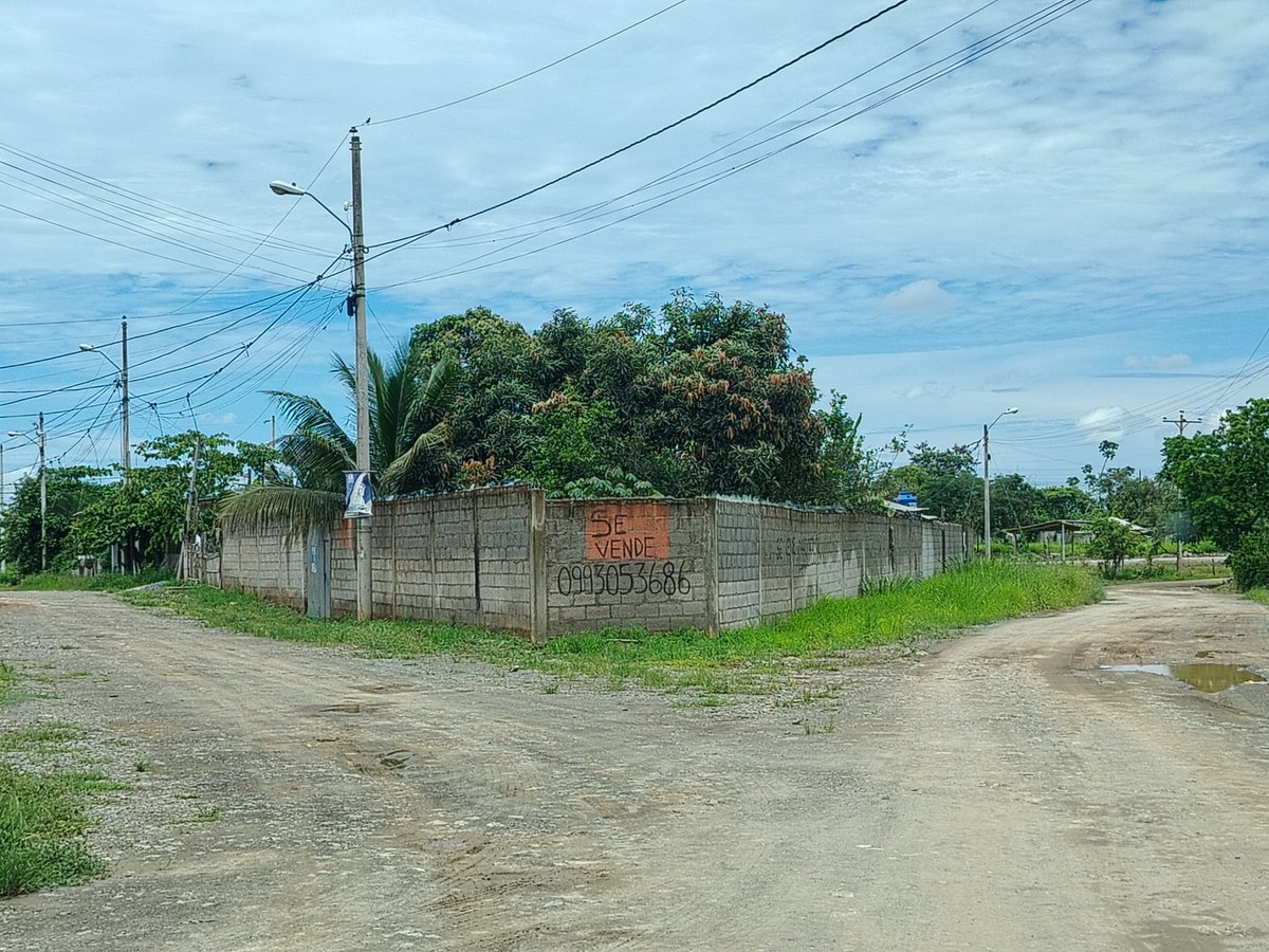Alburqueque3009's tweet photo. ✅ Solar de Venta en la provincia del Oro , ubicado en el Cantón de Arenillas. 400² mts. Ciudadela Brisas del Mar, vía a Cayancas. A 5 minutos del Hospital Básico Arenillas.

📲0993053686 https://t.co/X1QZoUp67a