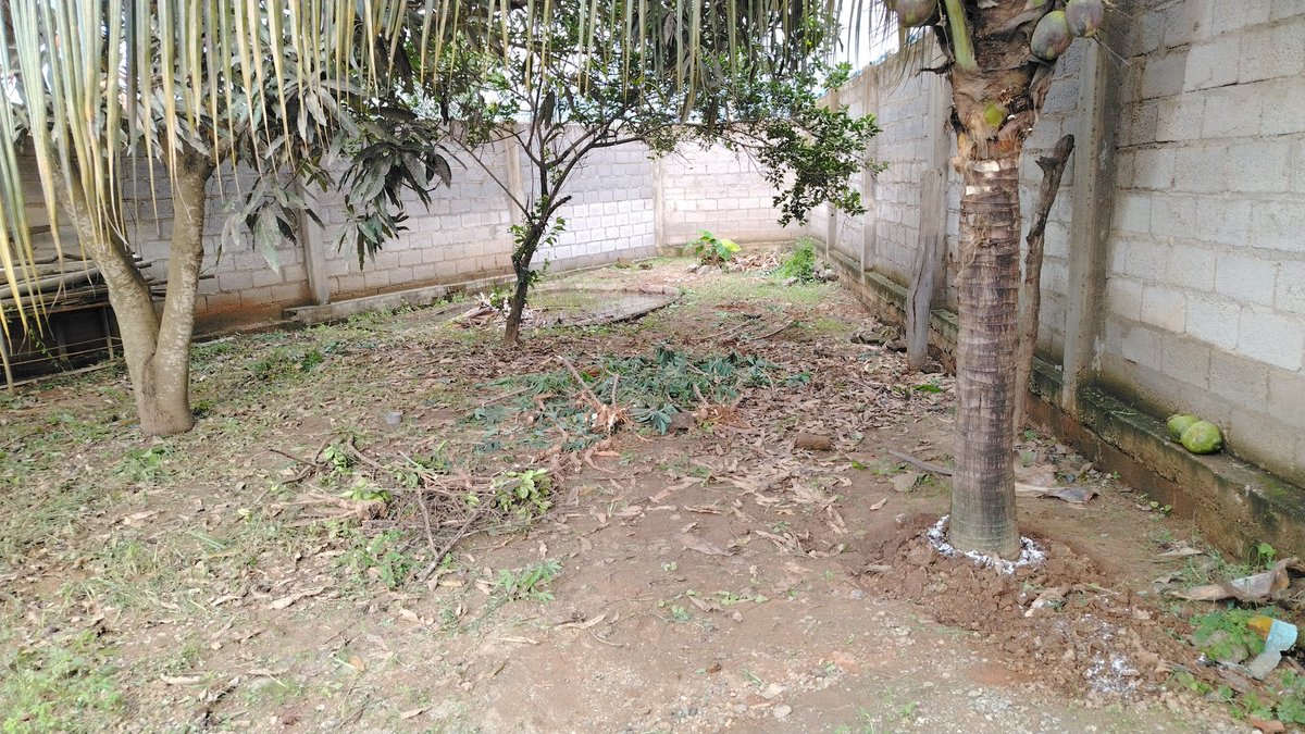Alburqueque3009's tweet photo. ✅ Solar de Venta en la provincia del Oro , ubicado en el Cantón de Arenillas. 400² mts. Ciudadela Brisas del Mar, vía a Cayancas. A 5 minutos del Hospital Básico Arenillas.

📲0993053686 https://t.co/X1QZoUp67a