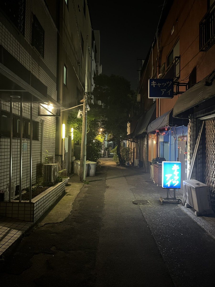 iiroji_bot's tweet image. 