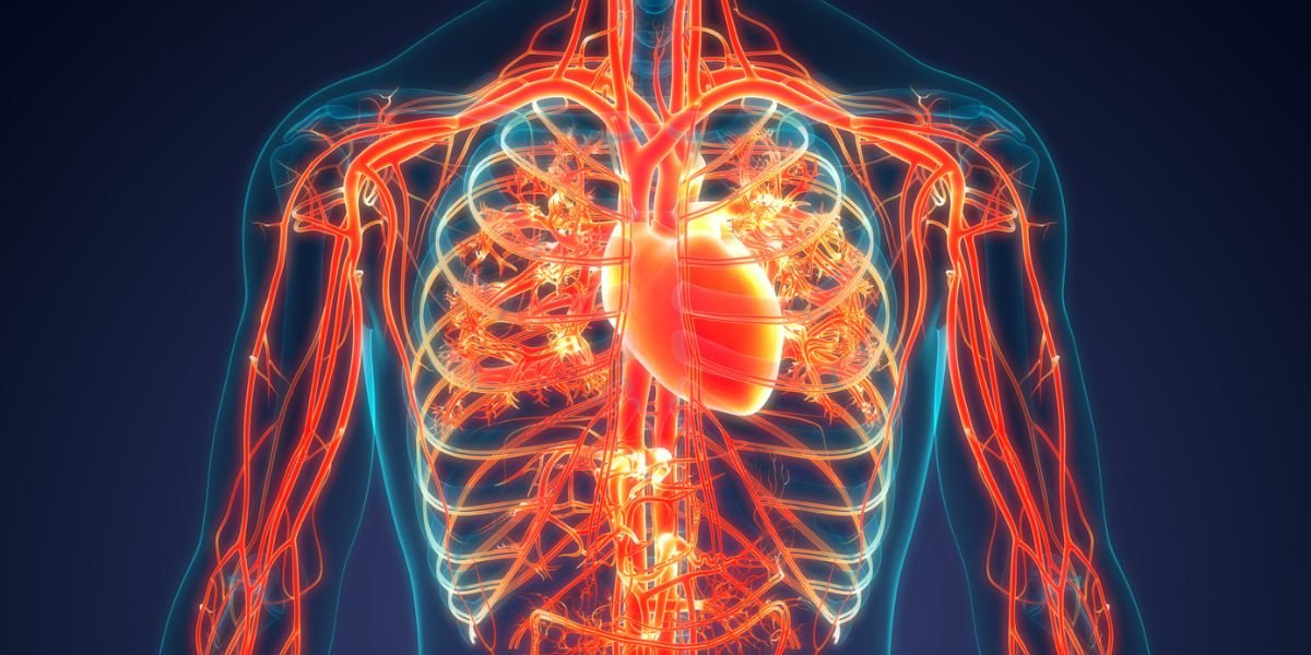 joeyyochheim's tweet photo. Poor circulation is silently draining your energy and destroying your health.

Most people ignore the signs until it’s too late...

Here’s what it is, why it’s dangerous, &amp; how to fix it (before it wrecks your life): https://t.co/Xo8Msh7ftx