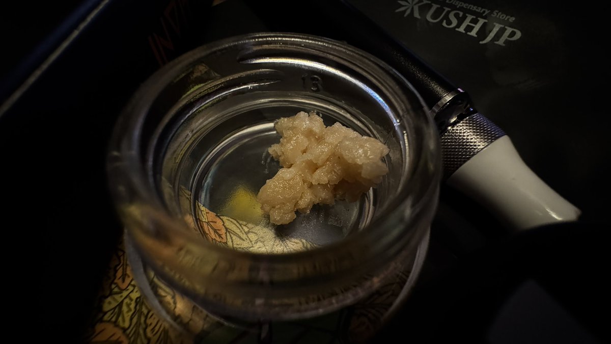 AltnoidsJapan tweet media