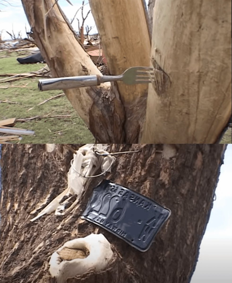 TheBowlCombo's tweet photo. @munchmastersex @SuckCowgirlTits Maybe these trees weren't cured yet either ... https://t.co/ZAH1IREe5f