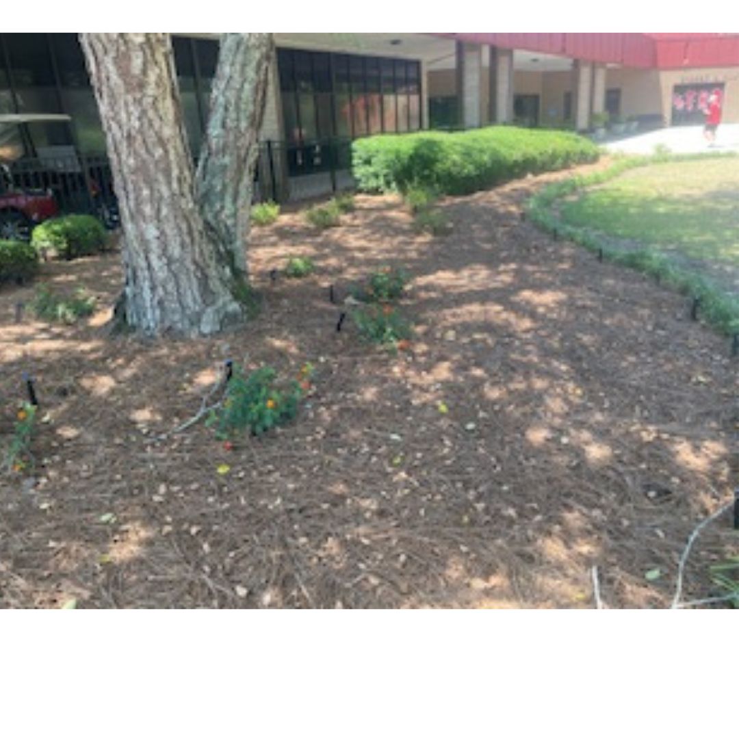 A huge thank you to Girl Scout Troop 40523 &amp; their Troop Leader (&amp; LCHS math teacher), Ms. Kim Cleesattle, for the beautiful transformation of the landscape in front of the high school.