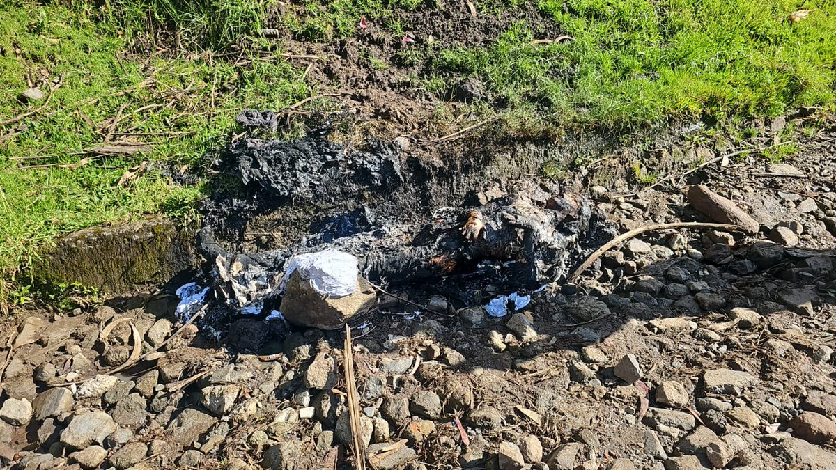 ¡Macabro hallazgo! Cadáver  de una mujer de entre 14 y 18 años se encontró en el barrio La Pulida Alta en el norte de Quito. Todos los detalles en la segunda emisión de <a href="/elnoticierotc/">El Noticiero</a>