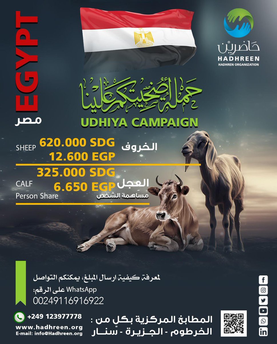 NazimSirag's tweet photo. سلام للكل
نذكركم بحملة أضحيتكم علينا والتي من خلالها يمكنكم تقديم الأضحية عن طريق "حاضرين"

العجل يضحي عن سبعة أشخاص
الشخص هنا مقصود به المضحي وأسرته التي يعولها (إن وجدت)

نصيب الشخص الواحد في العجل ما يلي:
 130 دولار او 325,000 جنيه سوداني او 110 جنيه استرليني او 480 درهم اماراتي

وللراغبين في التضحية منفردين.. فتكلفة الخروف هي 250 دولار او 625,000 جنيه سوداني او 210 جنيه استرليني او 890 درهم اماراتي

سيتم توزيع لحوم الأضاحي للمطابخ المركزية في كل من ولاية الخرطوم وسنار والجزيرة

آخر يوم لاستقبال المساهمات ثالث أيام عيد الأضحى المبارك

الرجاء إرسال اشعار التحويل عبر تطبيق WhatsApp
 +249123977778

Greetings to All,
We would like to remind you of the UDHIYA campaign, through which you can offer your Eid sacrifice via Hadhreen

A calf can be sacrificed on behalf of seven individuals. Here, an "individual" refers to the person making the sacrifice and their dependents (if any)

The share for an individual in the calf as per the currency is as follows:
130 USD
325,000 SDG
110 GBP
480 AED

For those who wish to offer a sheep individually, the cost as per the currency is:
USD 250
625,000 SDG
210 GBP
890 AED

The sacrificial meat will be distributed across the central kitchens in Khartoum, Sennar, and Al Jazirah States

The last day to receive contributions is the third day of Eid Al-Adha

Please share a copy of transaction via WhatsApp to: +249123977778

#سوا_بنقدر
#Together_We_Can