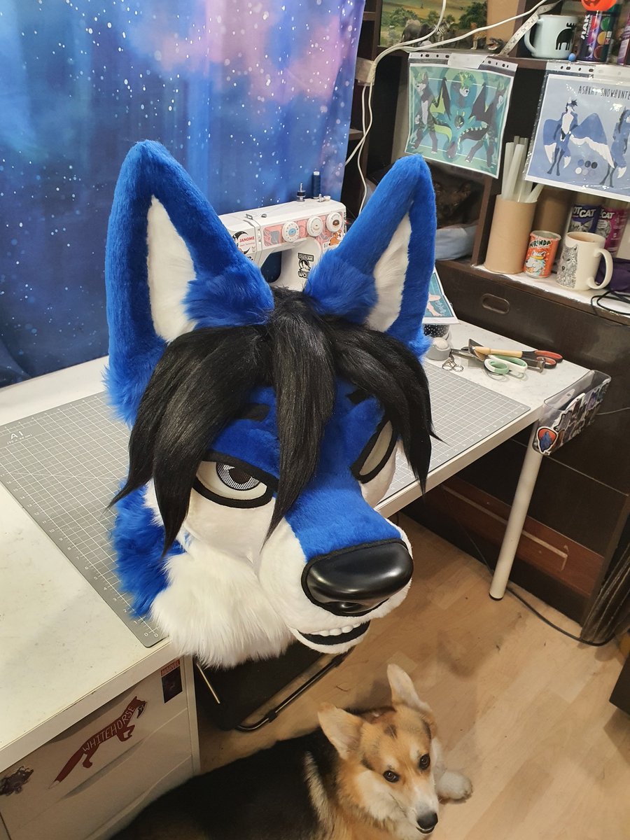 🌓🐺 Wolf Factory 🐺🌗 tweet media