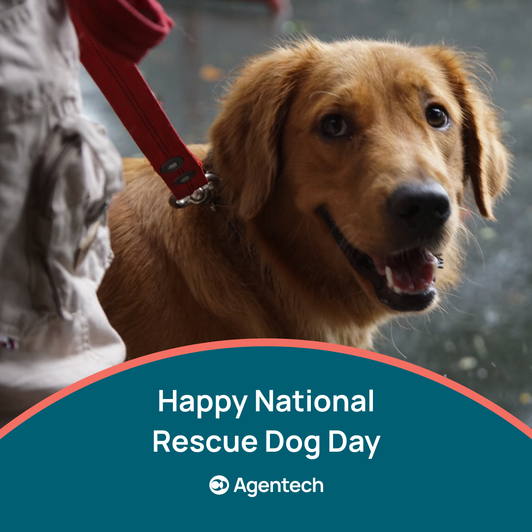 Agentech_AI tweet picture