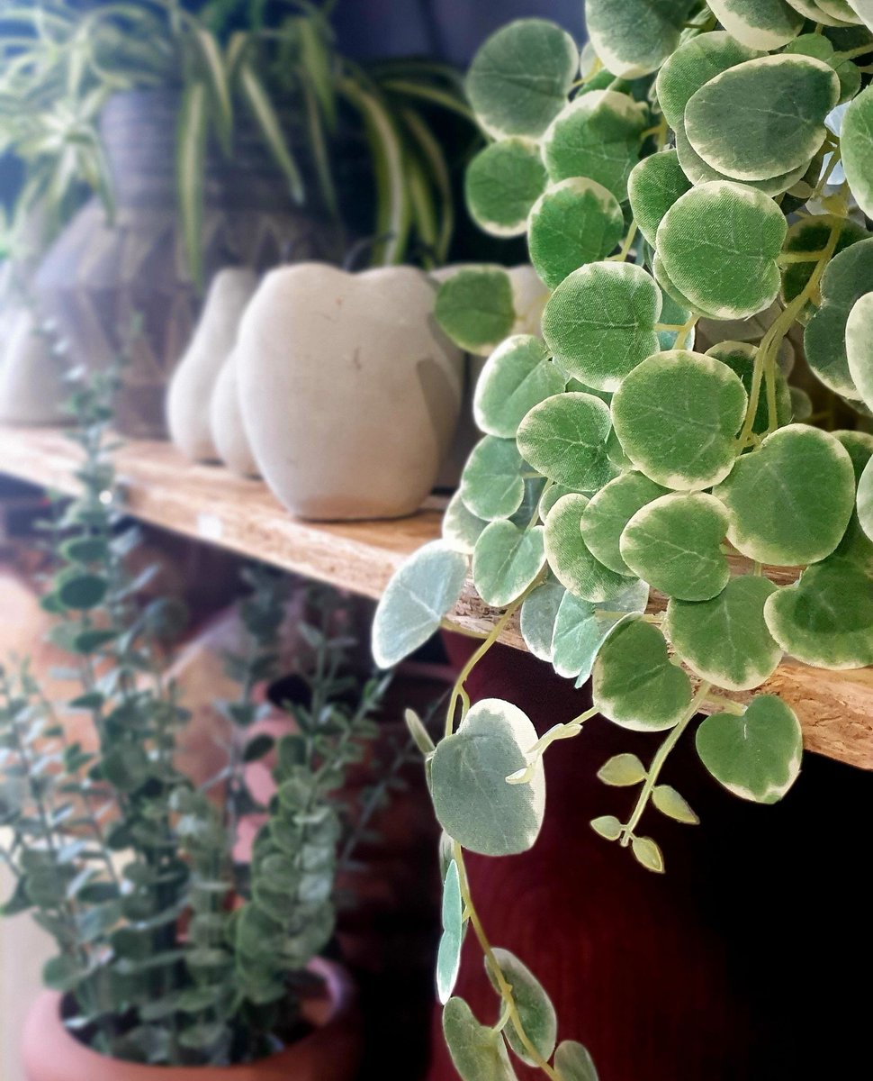 MainInteriors's tweet photo. A spot of Green to freshen up the vibe! 💚
Enjoy a range of Minty greens and Forest tones.

Drop by our Bristol shop for more inspo!

#Forestgreen#Minty#Colouryourspace#VibrantInteriors#Roomofcolour
#maininteriors#homedesign#bristolbusiness#actlocalbristol#localshop https://t.co/OQvxf5g6bC