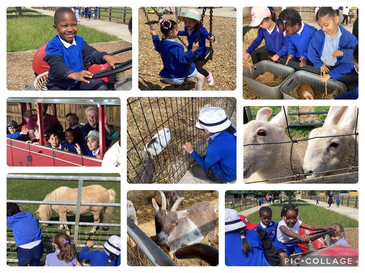 albanyprm's tweet photo. Reception had the most amazing time at Cefn Mably farm today. We learnt lots about the animals and enjoyed spending the day with our friends😀 https://t.co/H6m52YVaXD
