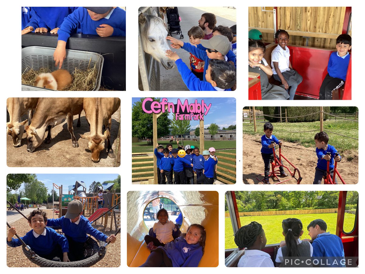 albanyprm's tweet photo. Reception had the most amazing time at Cefn Mably farm today. We learnt lots about the animals and enjoyed spending the day with our friends😀 https://t.co/H6m52YVaXD