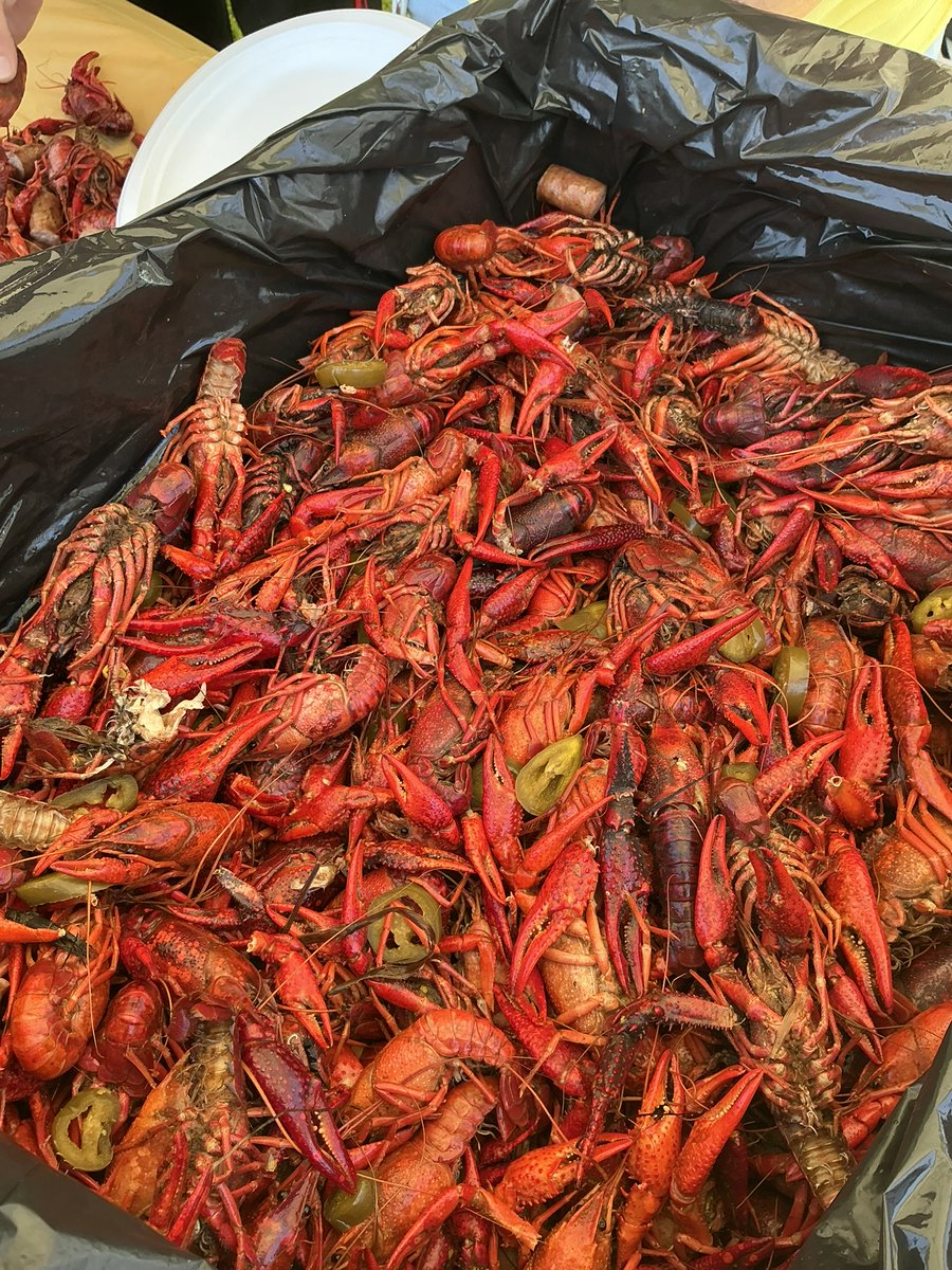 PFGoptics's tweet photo. 🦞Our annual Crawfish Boil was a fantastic time to step away from the shop floor, enjoy some great food, and celebrate all we've accomplished as a team. We are proud to call the MS Gulf Coast home! 🎣🚤☀️ #MSGulfCoast #PrecisionOptics https://t.co/A0SVJFOPnm