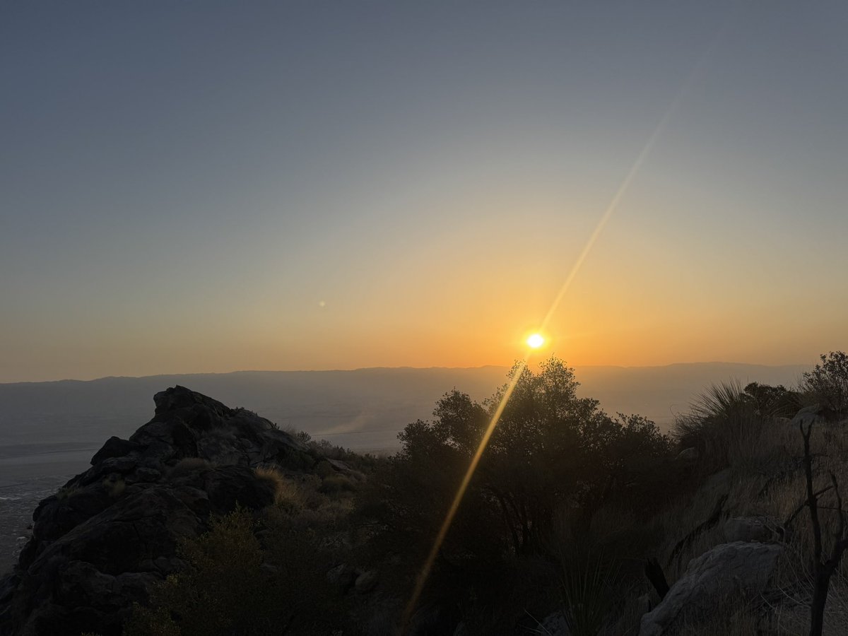 Dominique Samario tweet media