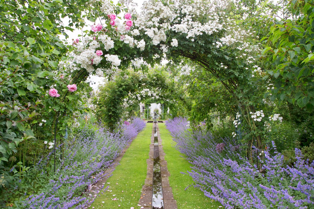 🌿 Discover beautiful hidden gardens across the UK with British Red Cross Open Gardens! 🌸

Plan your perfect day out &amp; join us in being here for humanity.
🔗 redcross.org.uk/open-gardens

#OpenGardens #britishredcross #GardenLovers #DaysOutUK