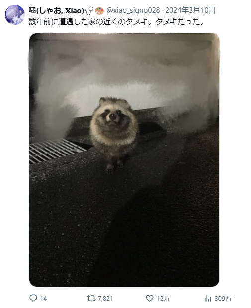 タヌキだ! 