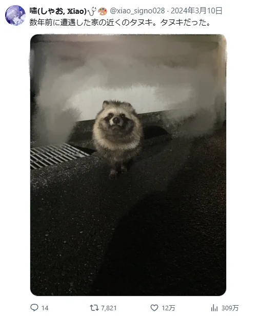 タヌキだ! 