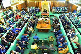 What would you tell parliament if you were given an opportunity?