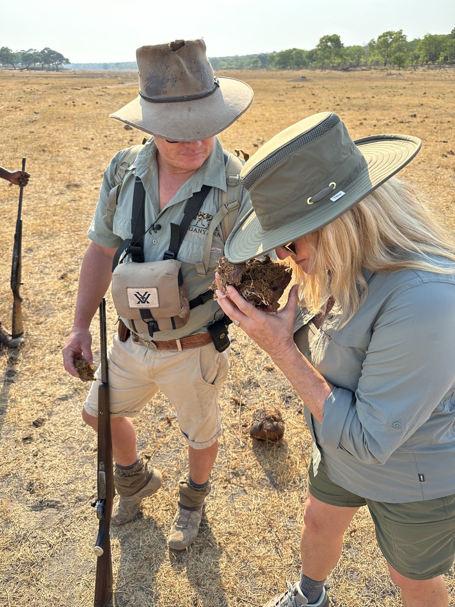 Collette tweet media