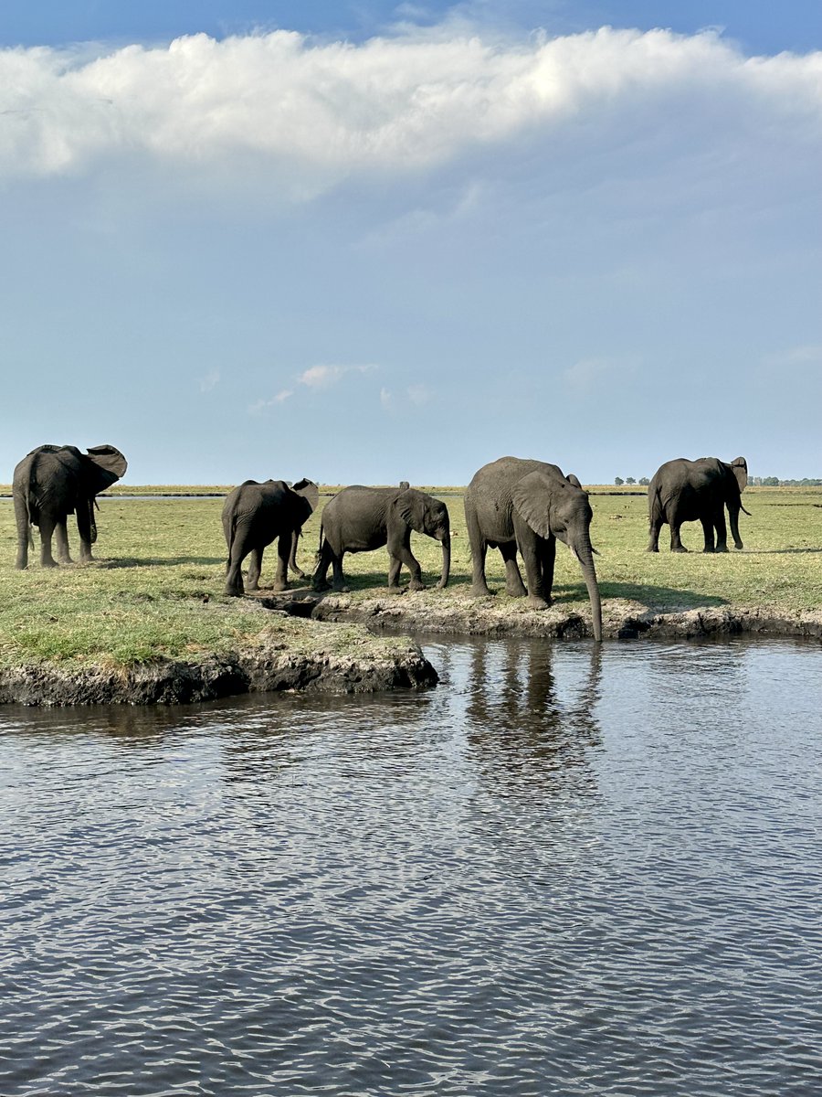 Collette tweet media