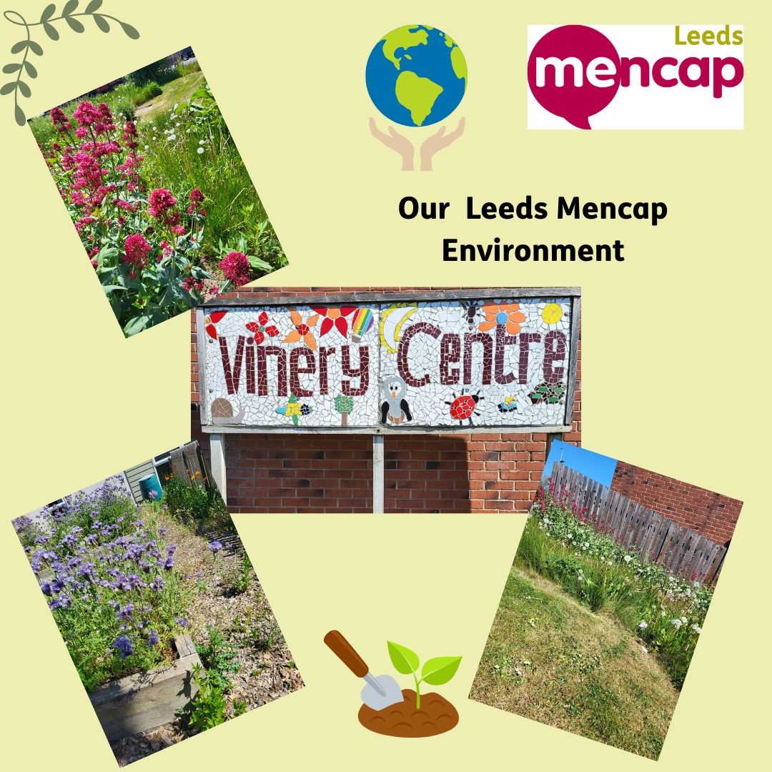 At Leeds Mencap:

🌸We are committed to sustainability and limiting our impact on the environment with solar panels, heat pumps and wild areas at our centre

🌷At our Outstanding Jimbo’s Nursery we include the environment as part of our Early Years Curriculum. 

#leedsmencap