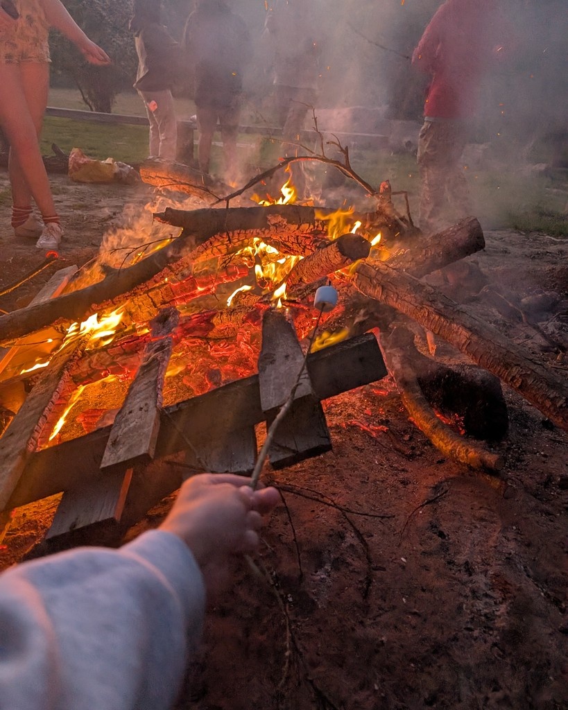 New Line Learning Academy tweet media