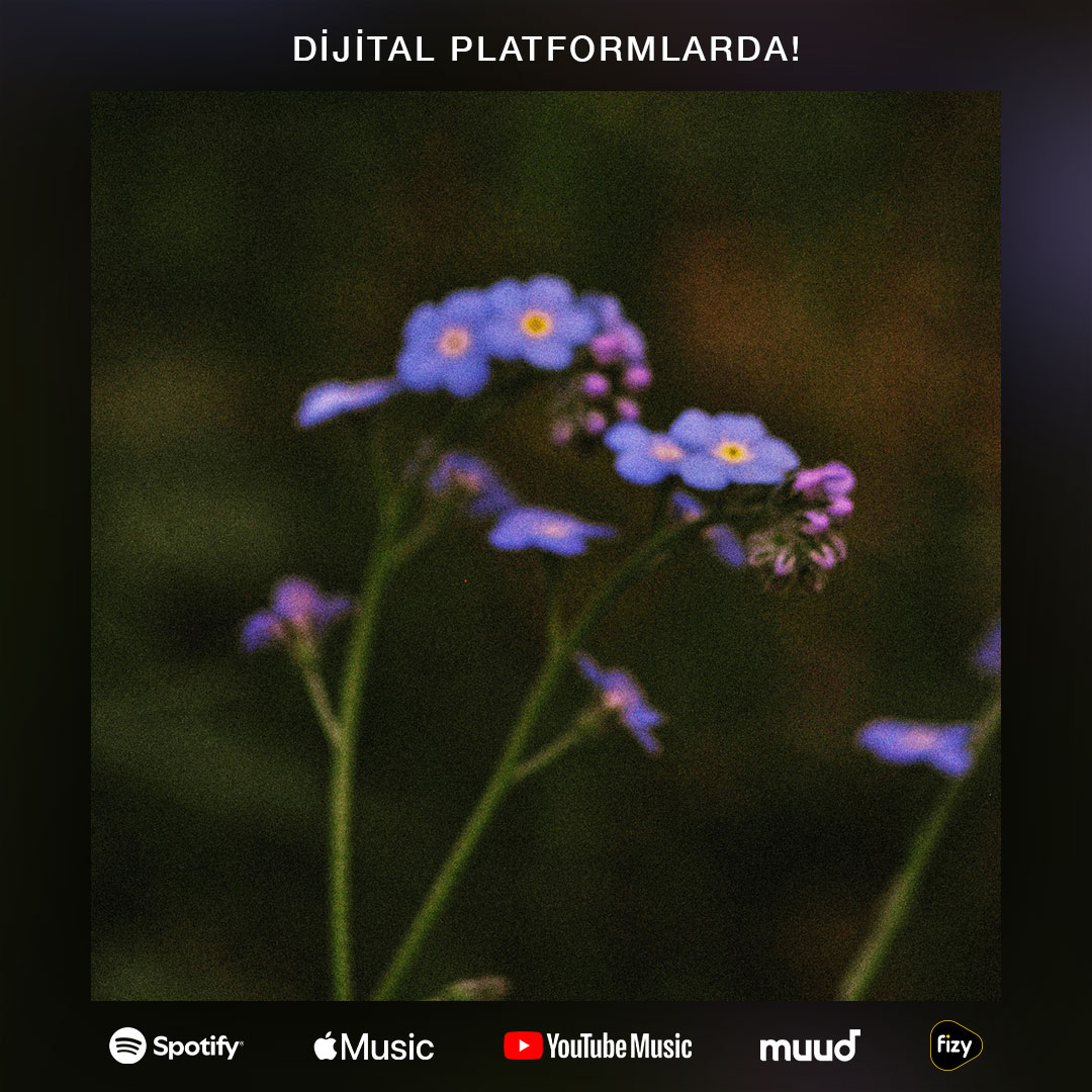 Robin ve Yuşa Kürkcü'nün "Unutmam" isimli yeni şarkısı tüm dijital platformlarda yayında!

Tüm Platformlar: bfan.link/robin-yusa-unu…