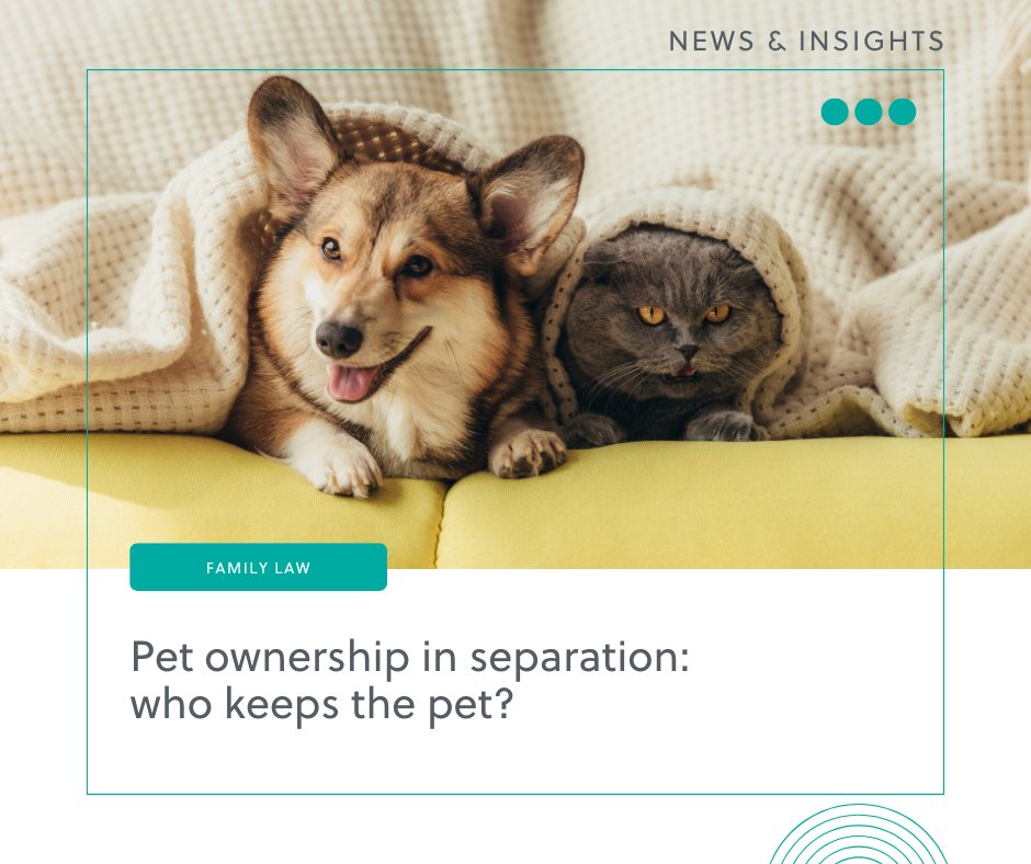 Who Keeps the Family Pet After Separation? 🐾

The latest article from our Family Law team outlines ownership rights, practical arrangements, and the role of "pet-nups" in preventing disputes.

🔗 Read the full article here: ow.ly/unrQ50VVrml