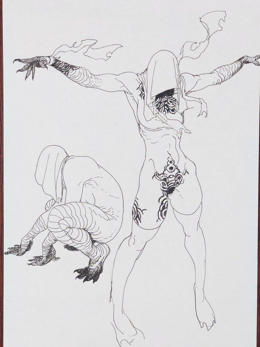 霊長類お兄さん (@okinawanogori) on Twitter photo 