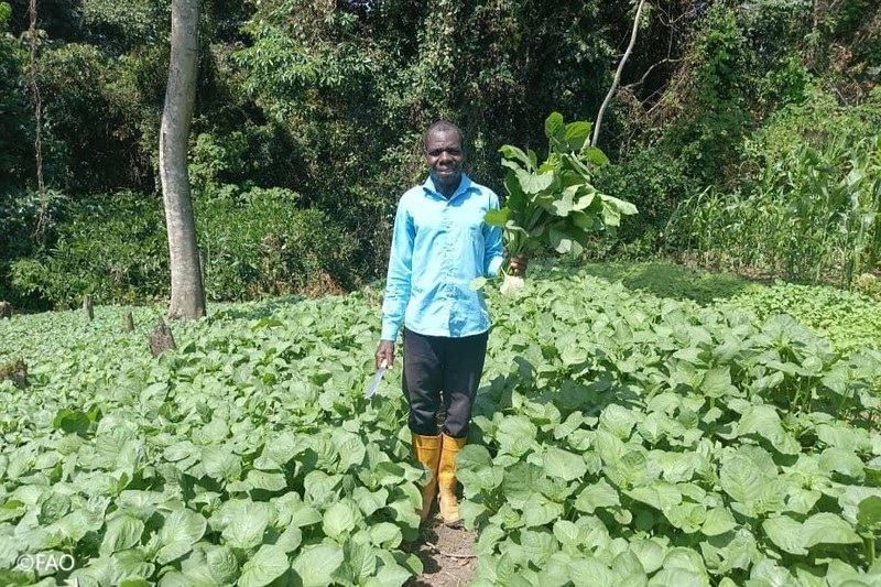 FAOemergencies's tweet photo. Le Cameroun est touché par des chocs multiples qui compromettent la sécurité alimentaire des populations.
Merci à @Enabel_Belgium, la @FAO a soutenu 750 ménages vulnérables et huit coopératives paysannes afin d'améliorer leur productivité agricole.
📷 https://t.co/hQblyB4G6Z https://t.co/4S4VpSdUyq