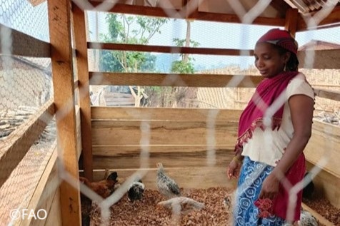 FAOemergencies's tweet photo. Le Cameroun est touché par des chocs multiples qui compromettent la sécurité alimentaire des populations.
Merci à @Enabel_Belgium, la @FAO a soutenu 750 ménages vulnérables et huit coopératives paysannes afin d'améliorer leur productivité agricole.
📷 https://t.co/hQblyB4G6Z https://t.co/4S4VpSdUyq