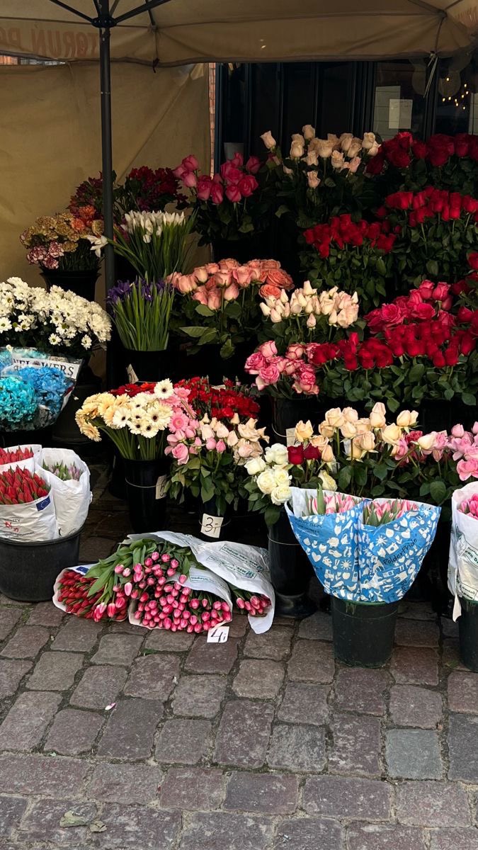 Flowers (@flowers489) on Twitter photo 