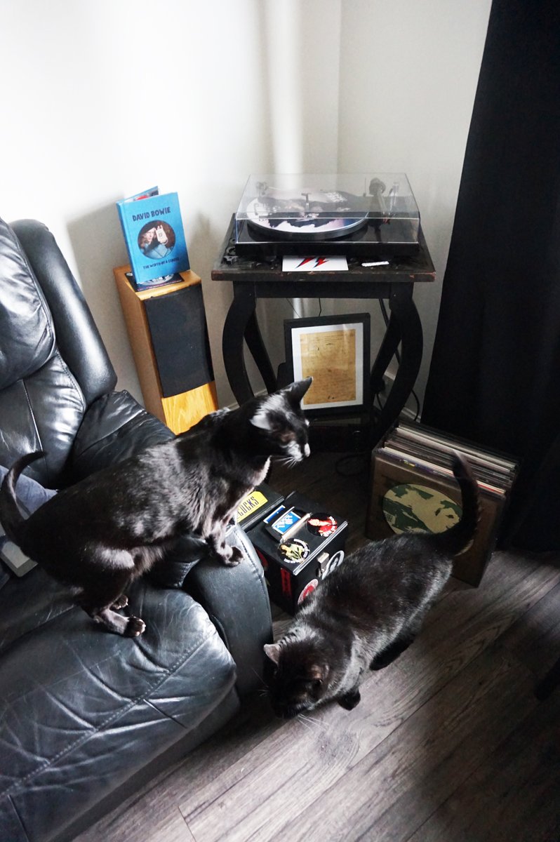Lou n Nico #blackcats