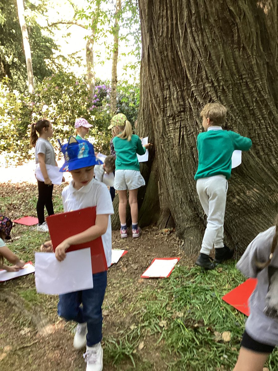 Brinsworth Howarth Primary School tweet media