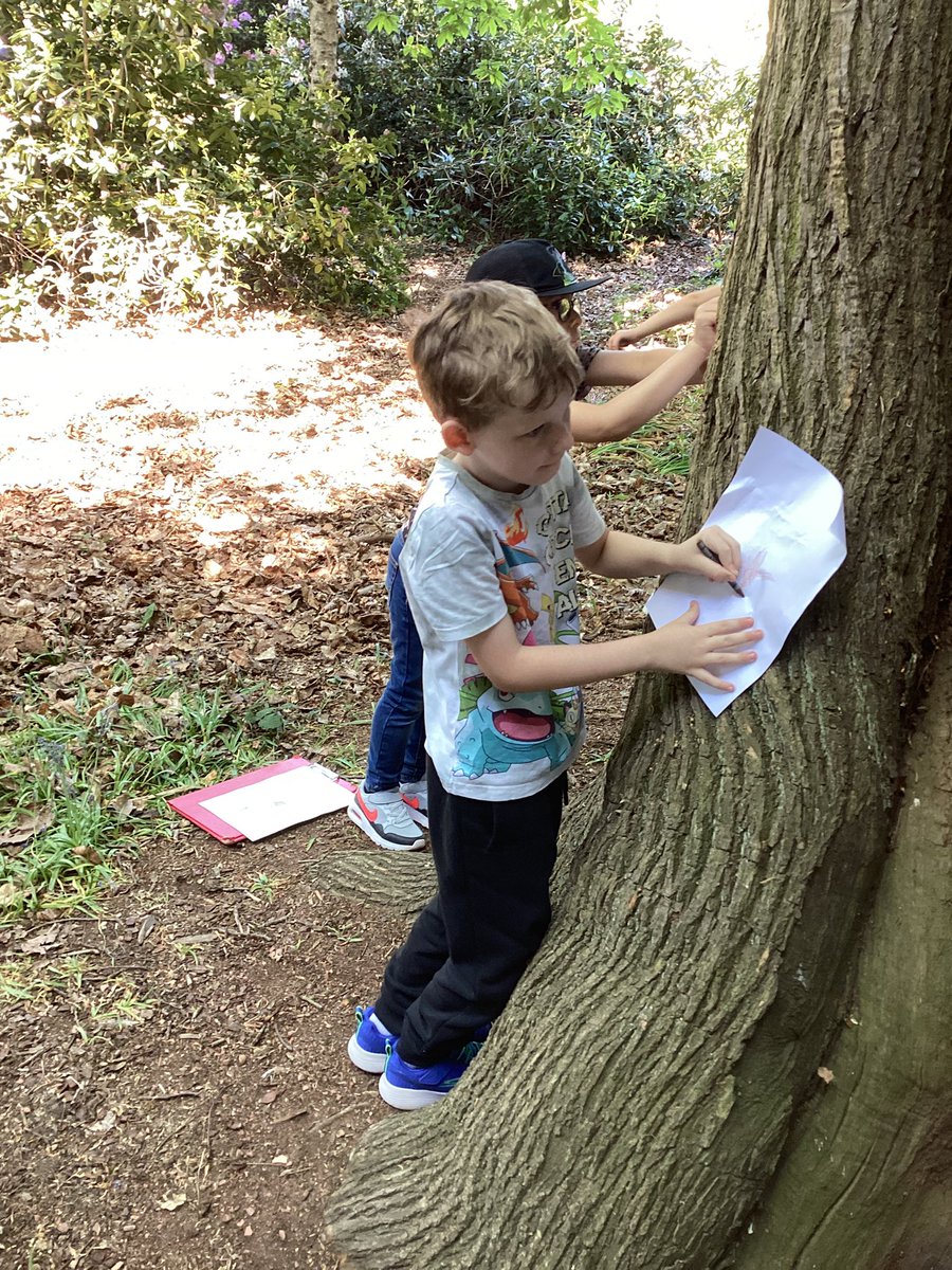 Brinsworth Howarth Primary School tweet media