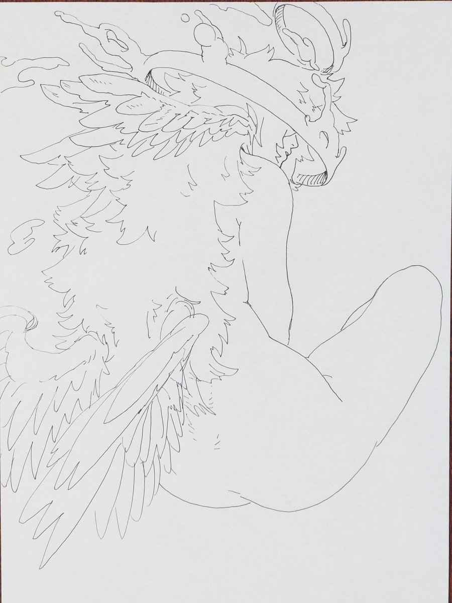 霊長類お兄さん (@okinawanogori) on Twitter photo 