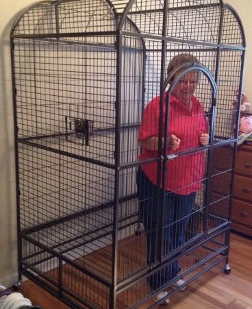 _piccone's tweet image. She’s not coming out until the Phillies extend/re-sign Kyle Schwarber, whichever comes first