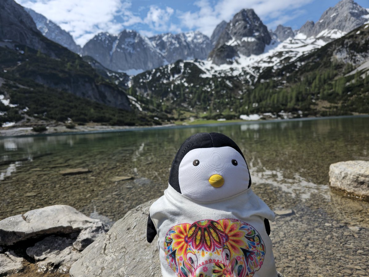 PinguinFridolin's tweet photo. #Seebensee #Alps #MarvinOnTour #hiking https://t.co/Iascdrq0tD